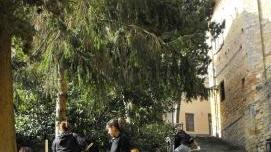 MESI FA
