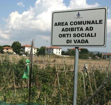 Gli orti di Vada nel mirino 