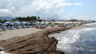 <b>EROSIONE </b>Un’immagine del litorale «morso» dalle mareggiate