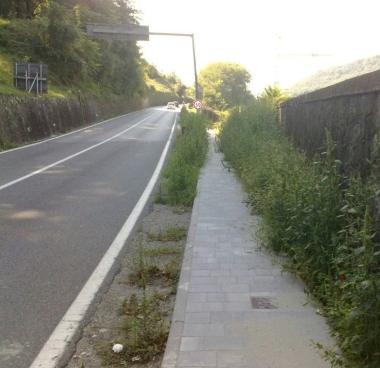 Il tratto di strada invaso dai rovi  
