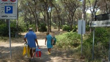 <b>MARINA DI GROSSETO.</b> Parcheggi in pineta e una ex colonia