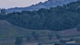 La Cantina della Pieve Vecchia