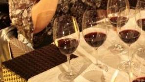 Rotta del vino a Pisa il derby del nettare bio