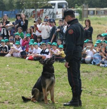 A lezione per stare bene con Fido