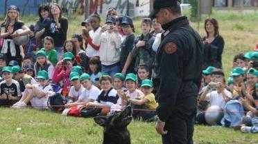 A lezione per stare bene con Fido