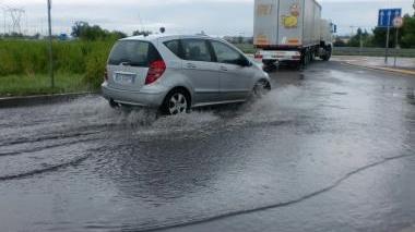 La foto scattata dalla lettrice