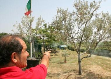 Due scoci della parco La Bagnolese