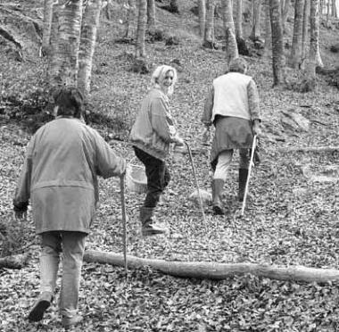 Cercatori di funghi nei boschi della Garfagnana molto battuti in questi giorni 