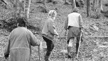 Cercatori di funghi nei boschi della Garfagnana molto battuti in questi giorni