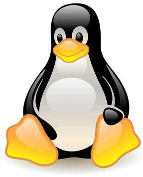 <b>LINUX DAY </b>Al Puntone 
