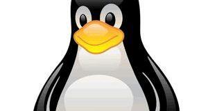 <b>LINUX DAY </b>Al Puntone
