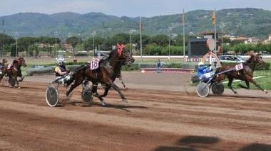 Sesana, in pista per il Criterium Toscano