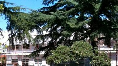 I lavori alla primaria di Marlia