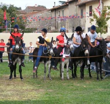 Il palio di Lugnano 