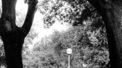 L’attuale “sentiero” di viale Arcadia diventerà pista ciclabile