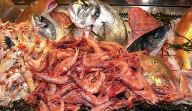 Sequestrati 326 chili di pesce nei ristoranti dell'Elba