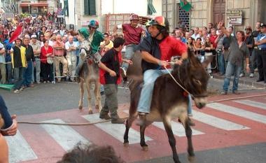 <b>ROCCASTRADA.</b> Il palio dei ciuchi 