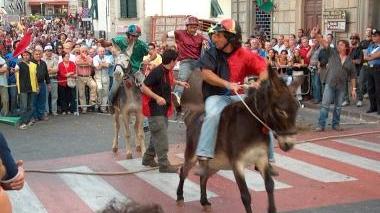 <b>ROCCASTRADA.</b> Il palio dei ciuchi