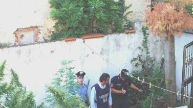 Il giardino teatro del blitz