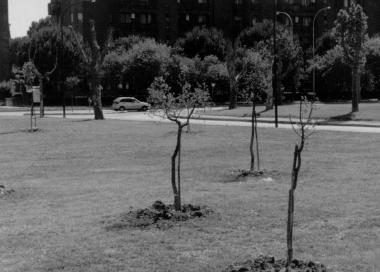 <b>LASTA.</b> Il parco del Diversivo e il fondo in via Mazzini 