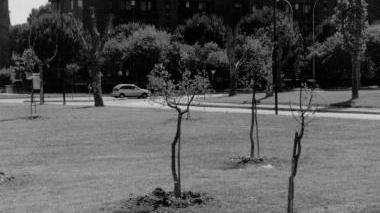 <b>L’ASTA.</b> Il parco del Diversivo e il fondo in via Mazzini