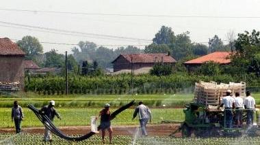 Irrigazione dei campi