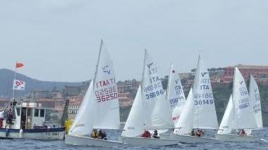 Una regata di vela