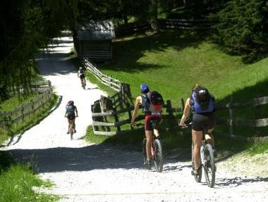 <b>TREKKING.</b> Nei sentieri del Monte Amiata 