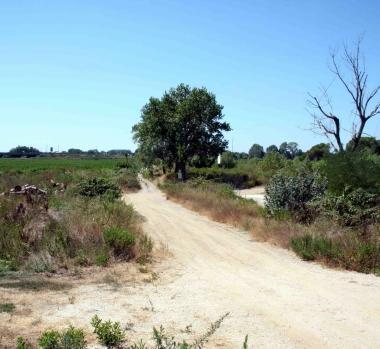 <b>PROGETTI.</b> Larea di Valleverde fra Viareggio e Massarosa  