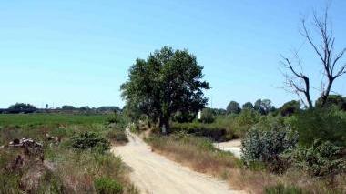 <b>PROGETTI.</b> L’area di Valleverde fra Viareggio e Massarosa