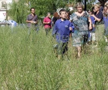 Ecco il tratto per raggiungere la scuola elementare 