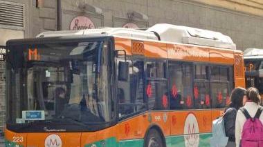 Un bus Micco