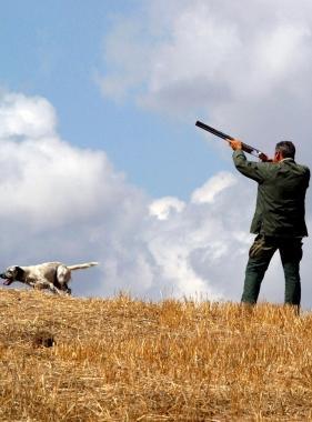 I cacciatori sono sul piede di guerra per gli storni  