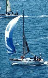 Alla Marina di Scarlino la regata della cucina