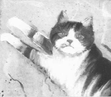 Uno dei gatti di Gavazzi 