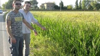 Via Casone, 64 firme per la messa in sicurezza