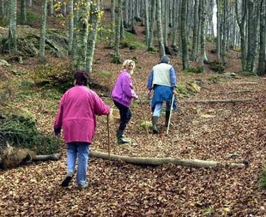 <b>TREKKING.</b> Nei grandi boschi    