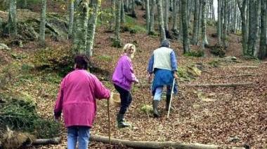 <b>TREKKING.</b> Nei grandi boschi