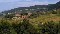 Agriturismi da tutto esaurito anche quest’anno