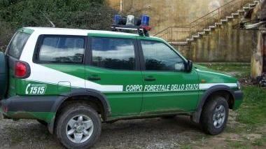 Il fuoristrada della forestale