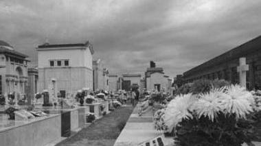 Il cimitero di Cecina