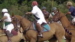 Polo, esordio tra le polemiche