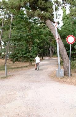 <strong>INGRESSO.</strong> Via del Balipedio, oggi pedonale, domani trasformata nell’asse di penetrazione