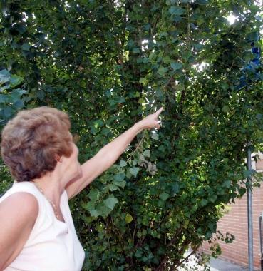 Un cartello stradale invisibile 