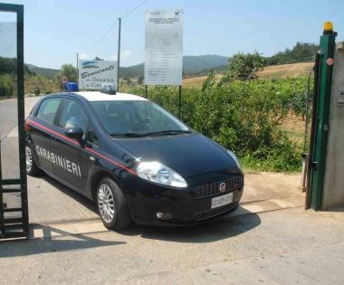 Una pattuglia dei carabinieri accorsa allabitazione della donna 