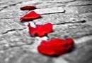 Petali d’amore tra le rose del principe