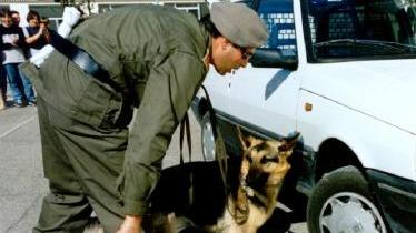 «Ma ora non mettiamo i cani fuori dagli istituti»