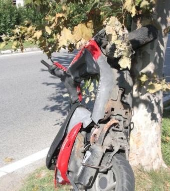 Lo scooter in piedi sullalbero dopo lincidente 