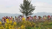 La 58ª edizione della Coppa Sabatini si corre giovedì 7 ottobre. Si ...