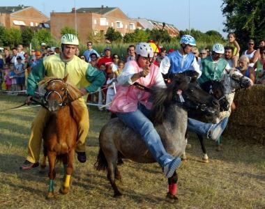Unedizione del Paliotto dei pony di Querciola     